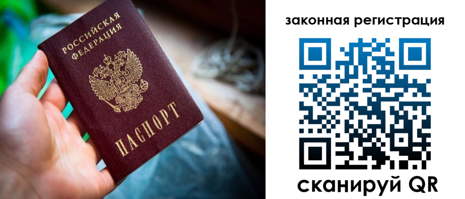 прописка в Камышлове
